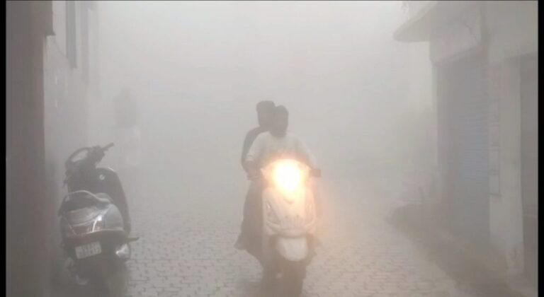 IMG_20230624_122626-1024x560