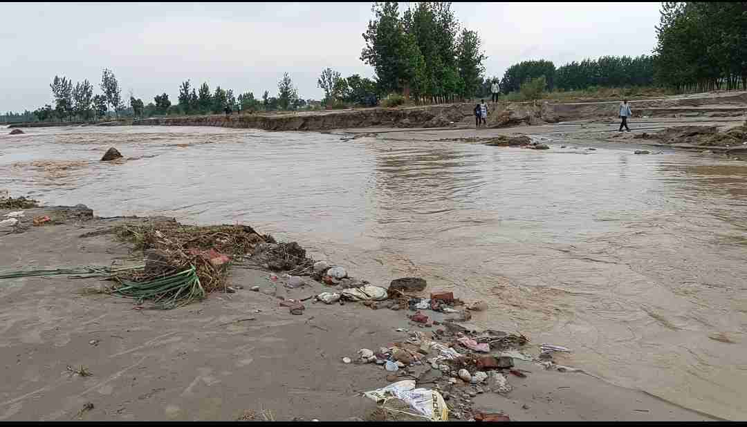 WhatsApp Image 2023-07-19 at 2.51.53 PM