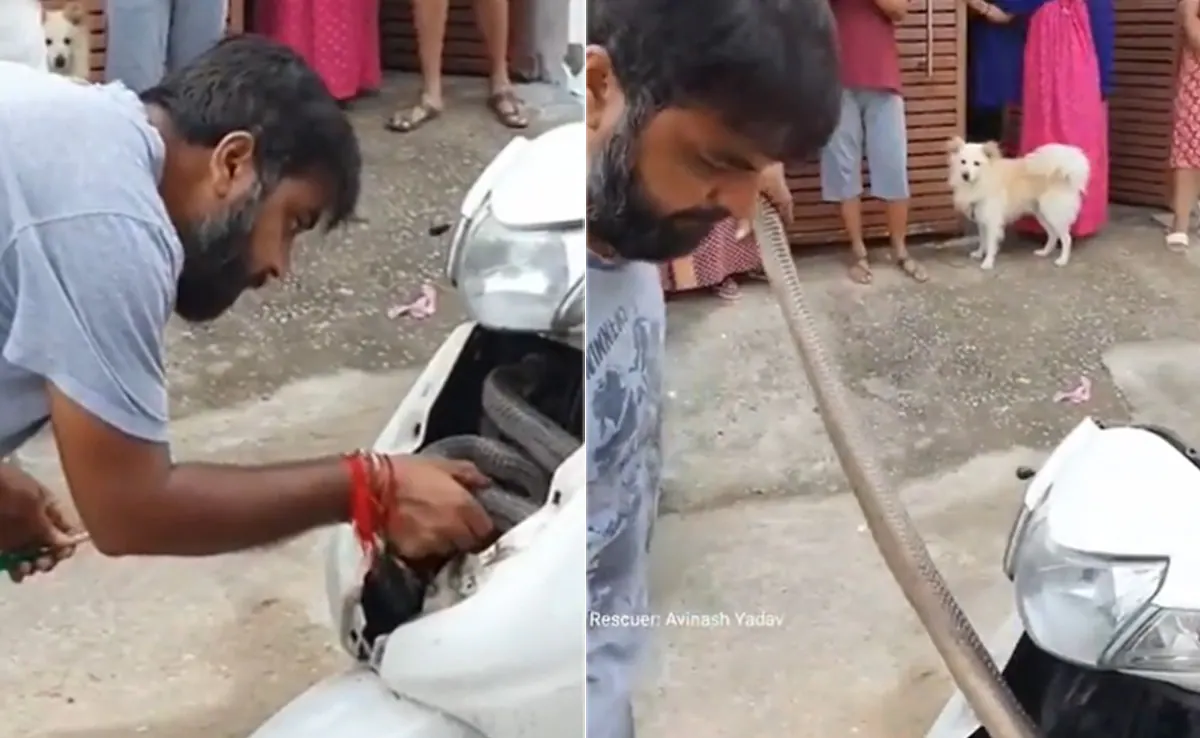 915lrbgg_er_625x300_12_April_23