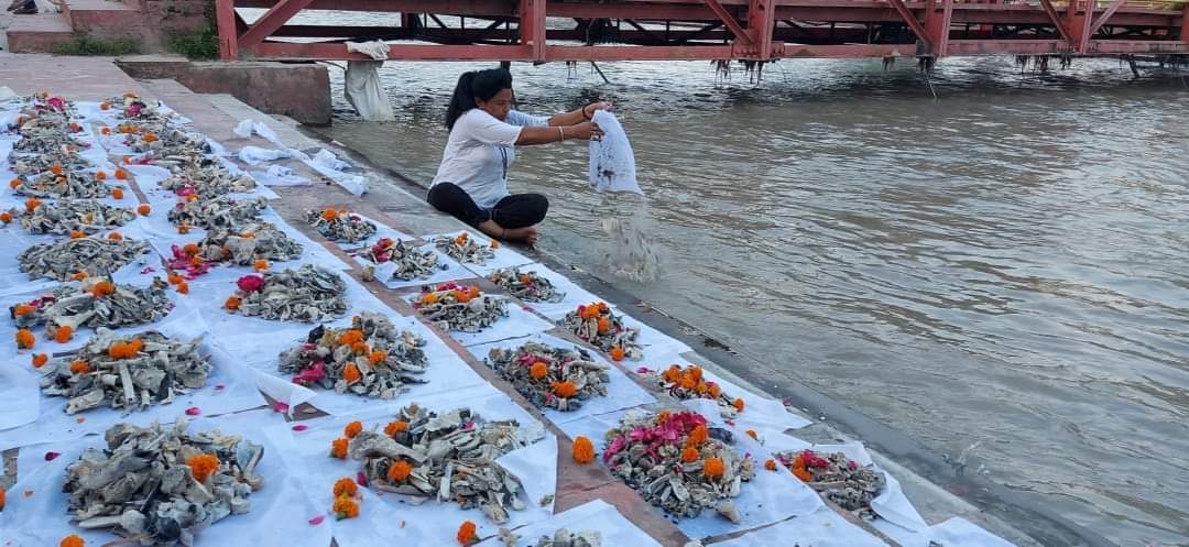 FB_IMG_1724043783017