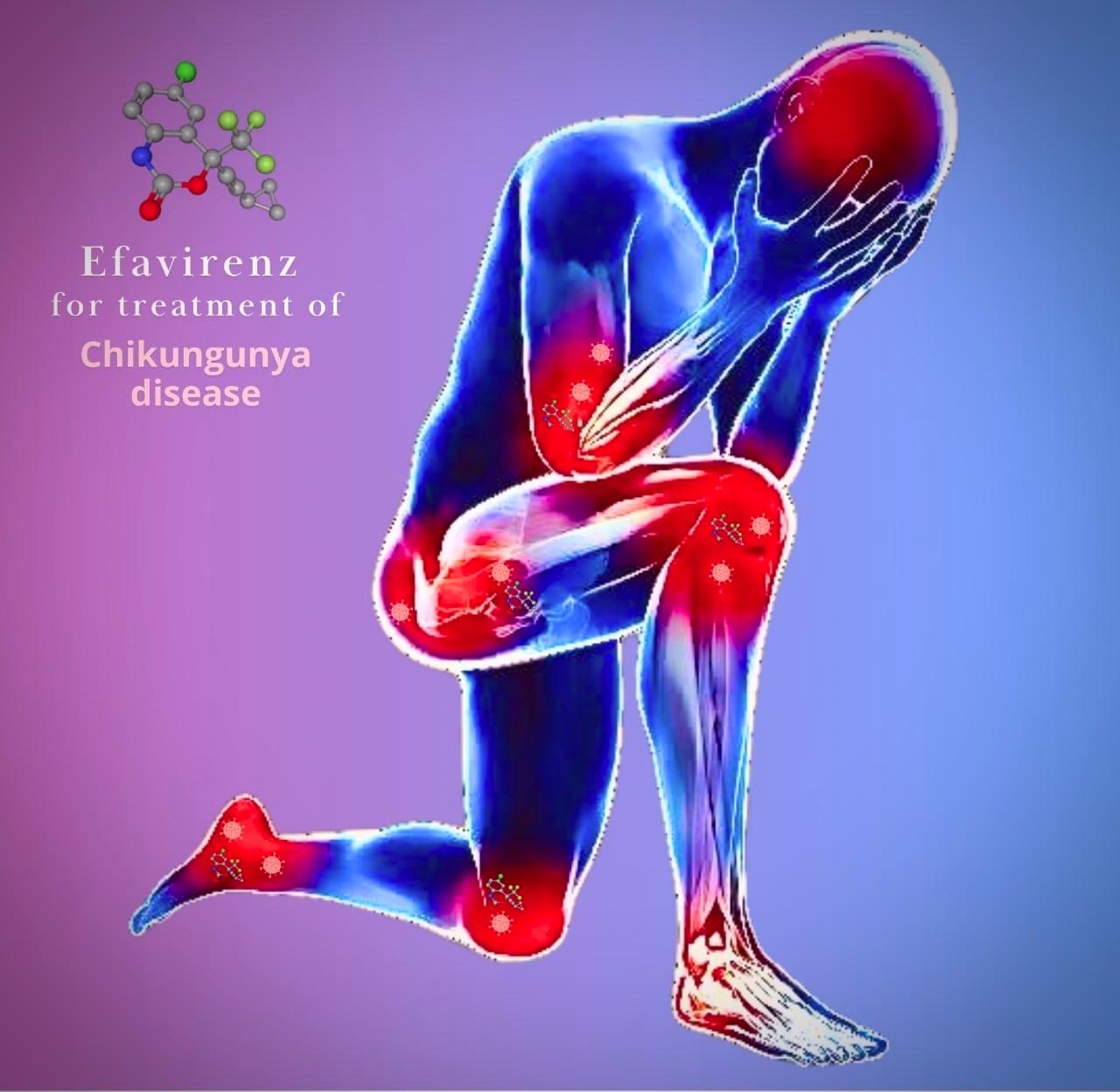 WhatsApp Image 2025-03-16 at 15.22.43_50e2cc4c