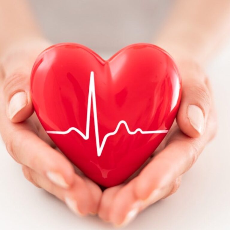 WhatsApp Image 2025-08-27 at 16.52.22_042835fa