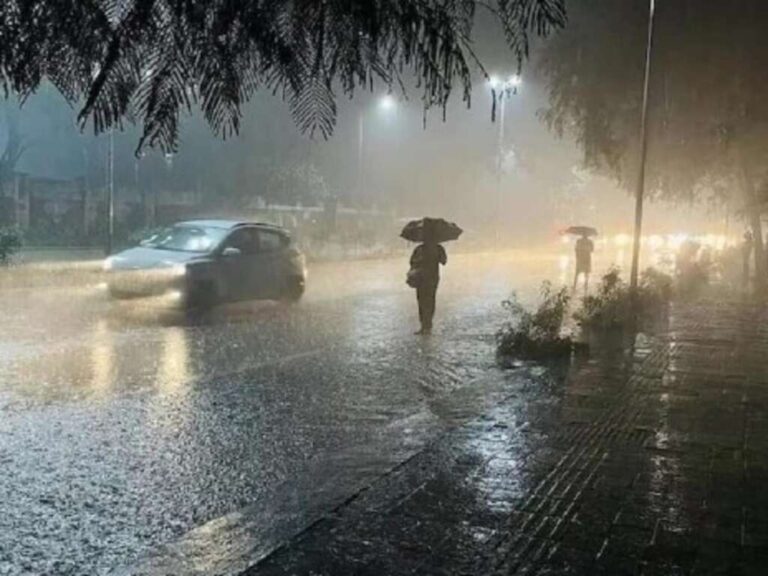 2601_1727375094141_1727375108835-2