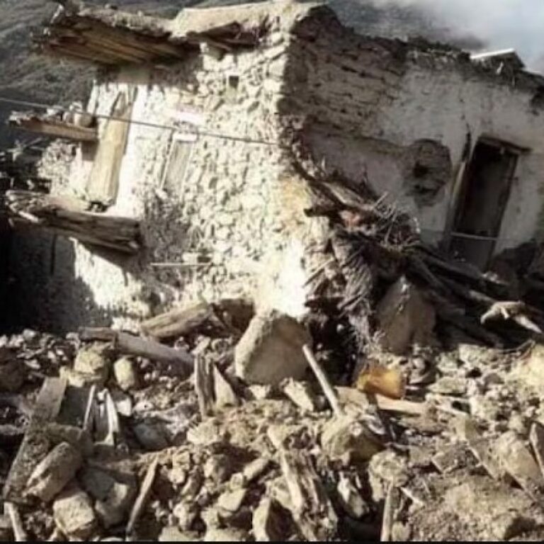 WhatsApp Image 2025-09-01 at 17.59.53_1adbfb1e