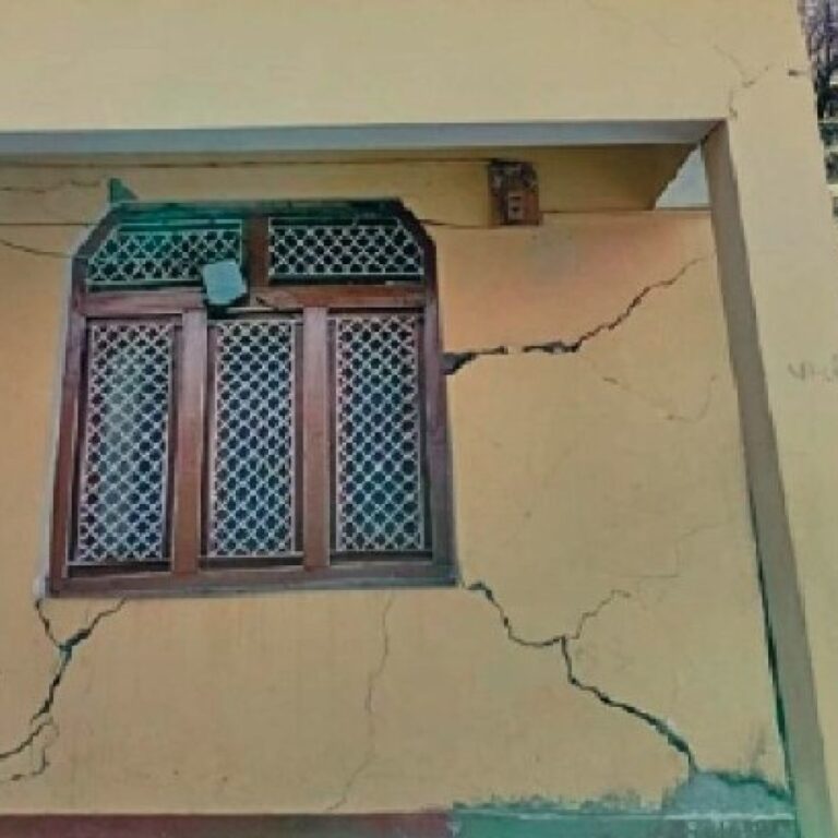 WhatsApp Image 2025-09-04 at 11.13.00_52aaabde