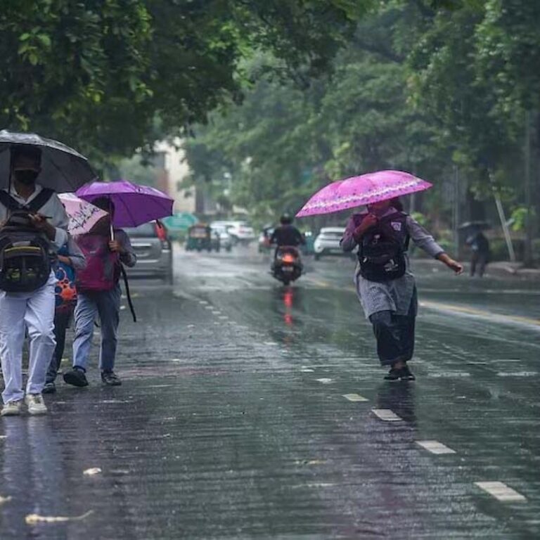 WhatsApp Image 2025-09-11 at 13.52.24_ce581bbb