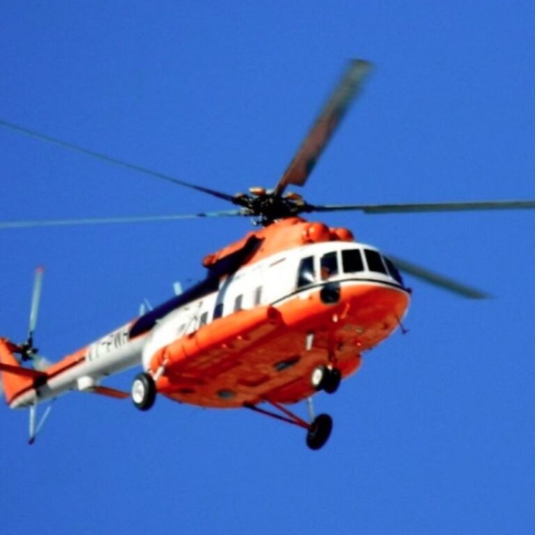 WhatsApp Image 2025-09-13 at 11.22.56_7e0f4e52