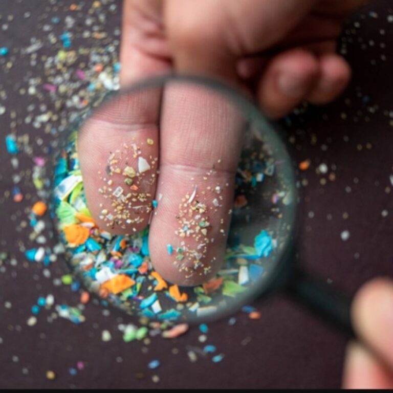 WhatsApp Image 2025-09-24 at 15.02.39_c1b4d252