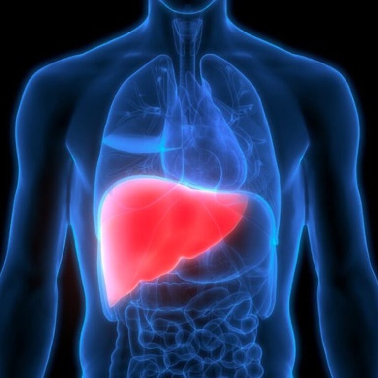 WhatsApp Image 2025-09-29 at 16.49.50_a2f41404