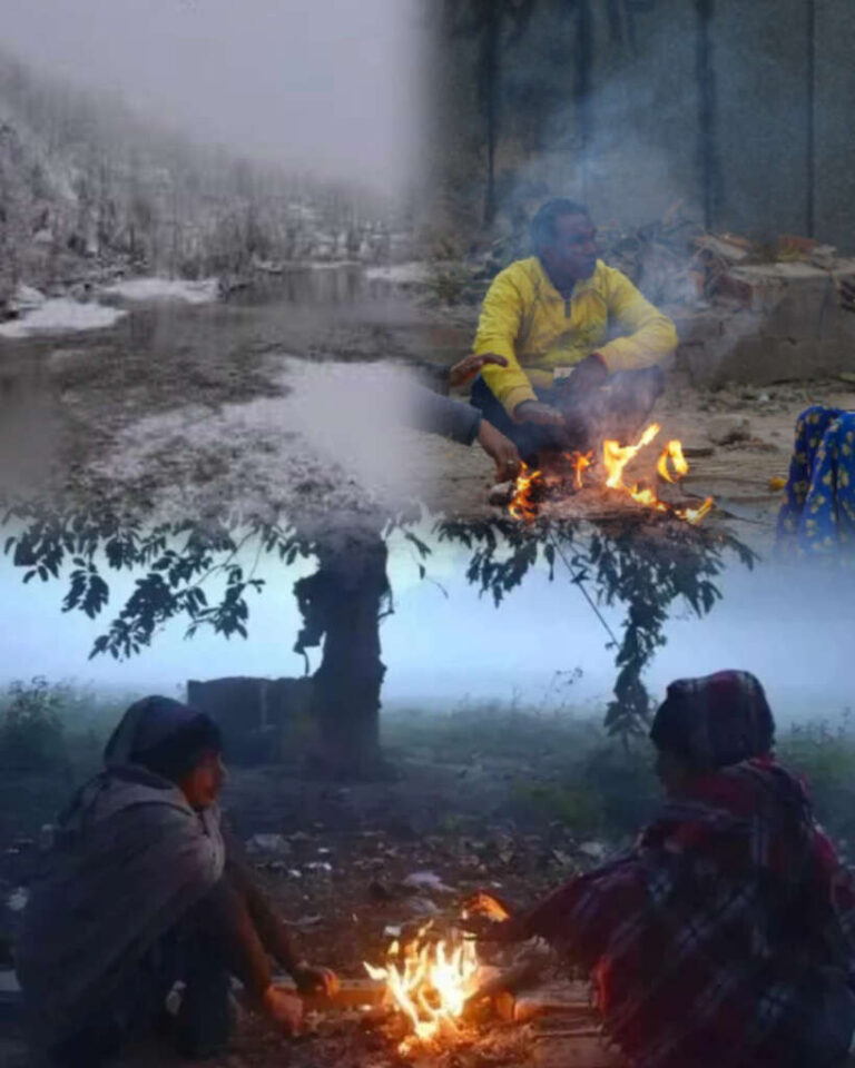 InShot_20251121_082847669